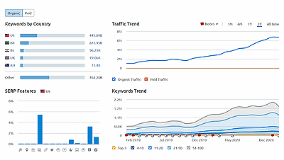 SEO Website Traffic Chart